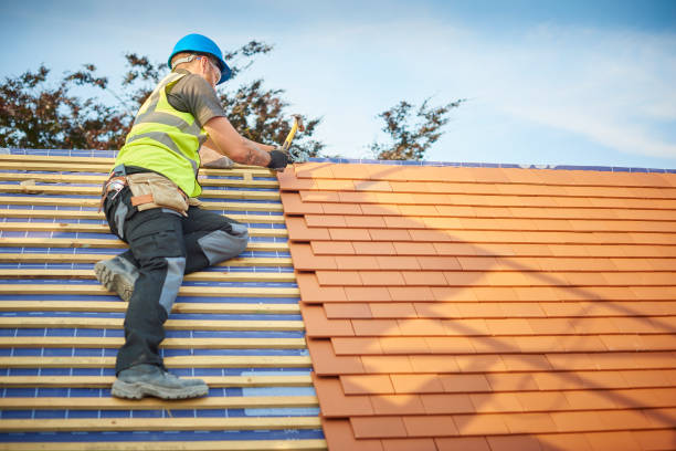 Best Sheet Metal Roofing  in Warson Woods, MO